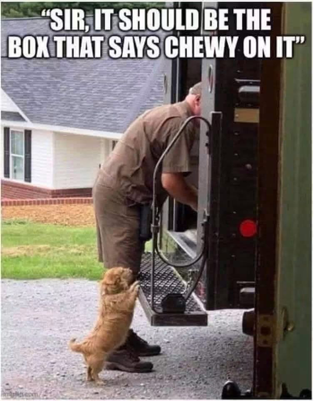 1786574220045.png