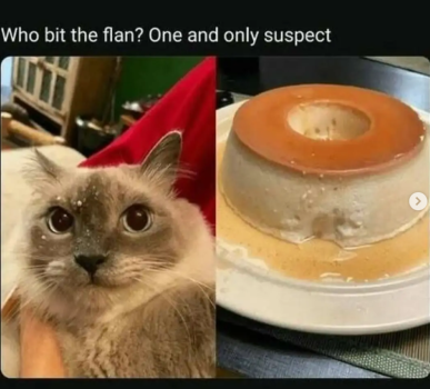 1786694905521.png