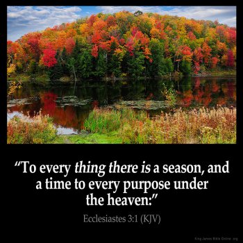 FOCUSING ON THE COMING TRANSITION
