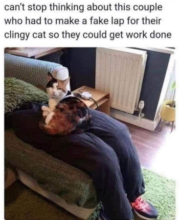 1786759079218.png