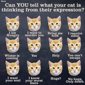 1786764657465.png