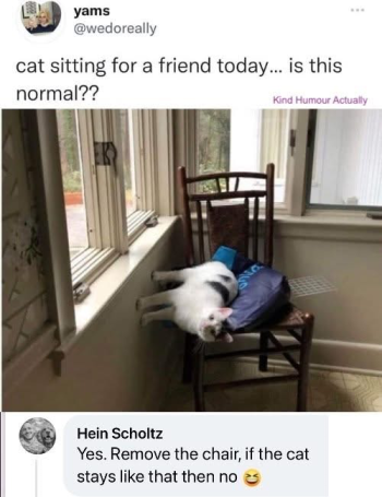 1786812946611.png