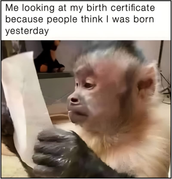 1786923661327.png