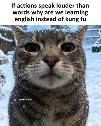 1787084958861.png
