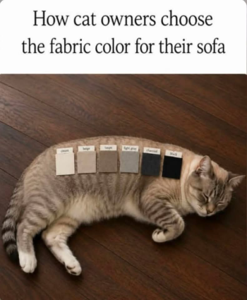 1787103411877.png