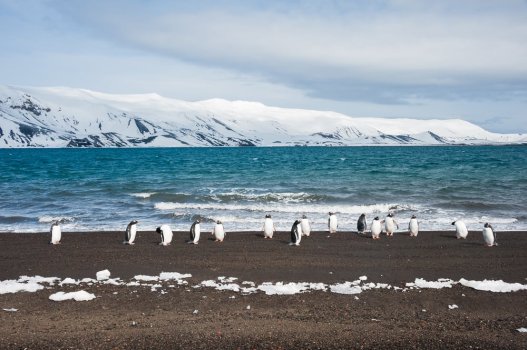 deceptionislandshutterstock_231610681.jpg