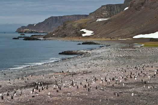 Shetlandshutterstock_125939516.jpg