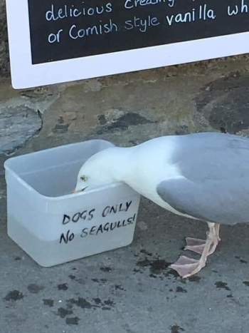 1787185437624.png