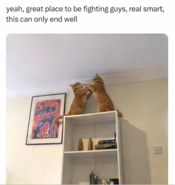 1787369575323.png