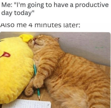 1787369644218.png