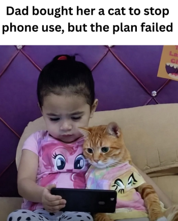 1787369703051.png