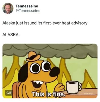 1787714133646.jpeg