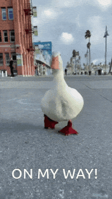 on-my-way-duck.gif on-my-way-duck.gif