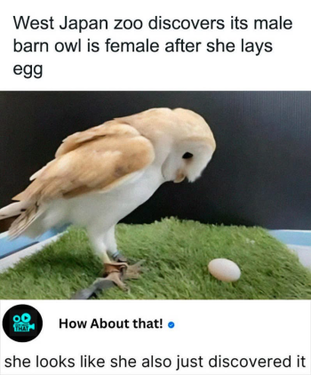 1787857594837.png