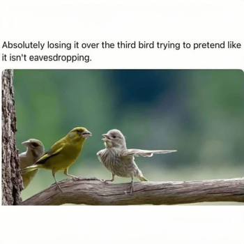 1787858561786.png