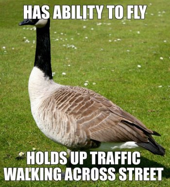 1787955944646.jpeg