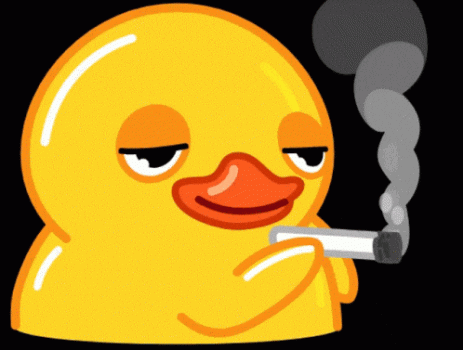 smoking-duck-duck-shaking-head.gif