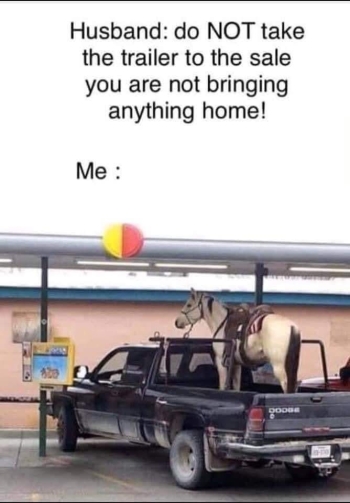 1788279589769.png