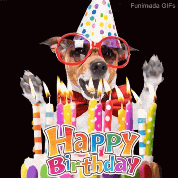 dog-birthday.gif dog-birthday.gif