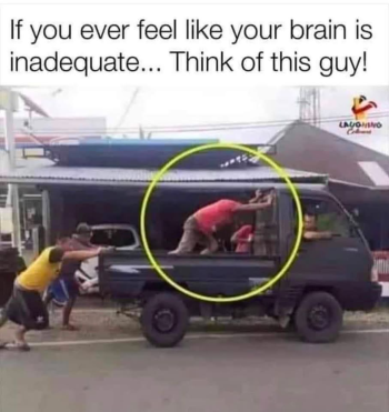 1788280369044.png