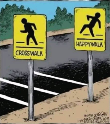 1788360263608.png