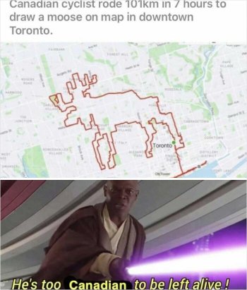 1788418508171.jpeg