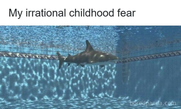 1788418837381.jpeg