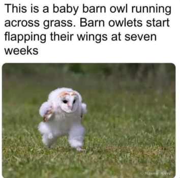 1788478270674.png