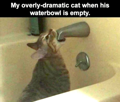 1788527920057.png