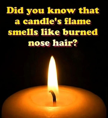 1788556183622.png