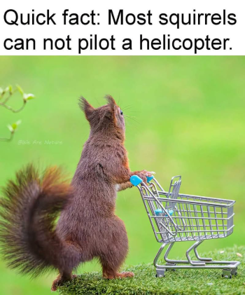 1788556486552.png
