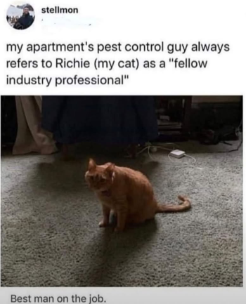 1788573889789.png