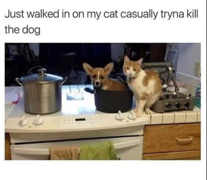 1788574406725.png