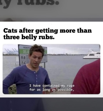1788576197213.png