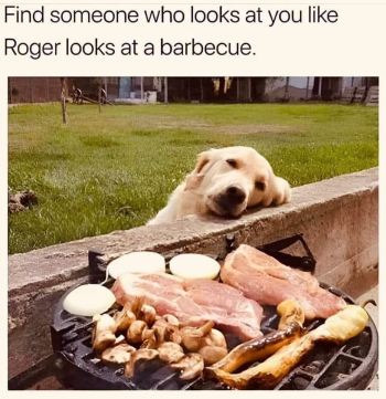 1788626446694.png