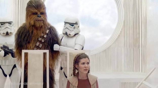 chewy.jpeg chewy.jpeg