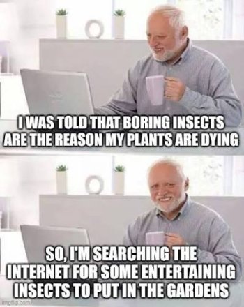 1788784251449.jpeg 1788784251449.jpeg