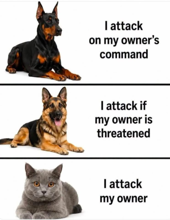 1788821094776.png