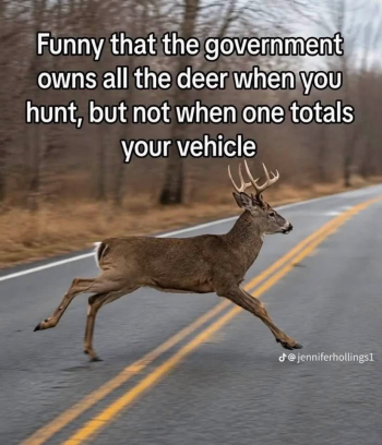 1788979869795.png