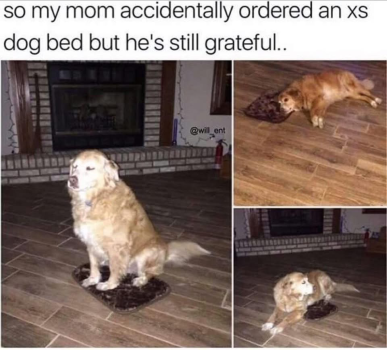 1788980123484.png
