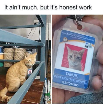 1789218666267.png