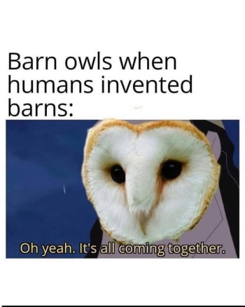 1789222485219.png
