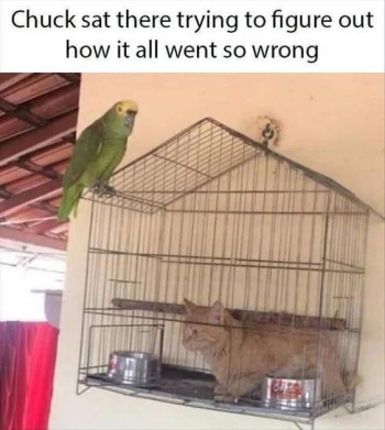 1789233025145.png