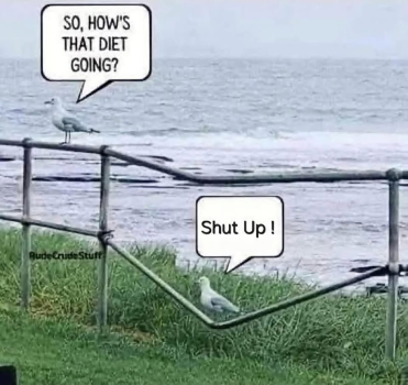 1789316829316.png