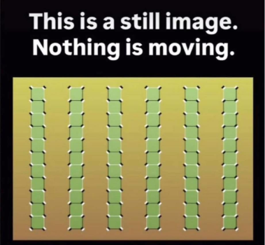 1789339668568.png