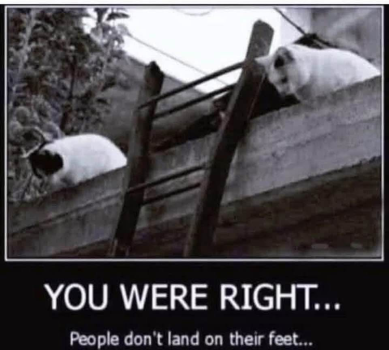 1789511757965.png