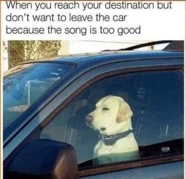 1789512029526.png