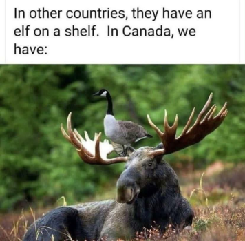 1789512659333.png