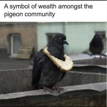 1789530657893.png