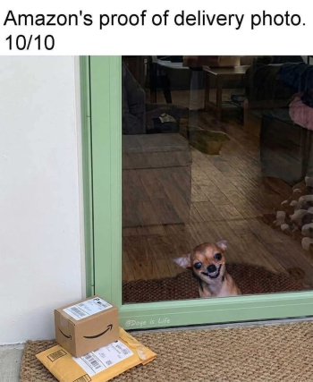 1789577984026.png